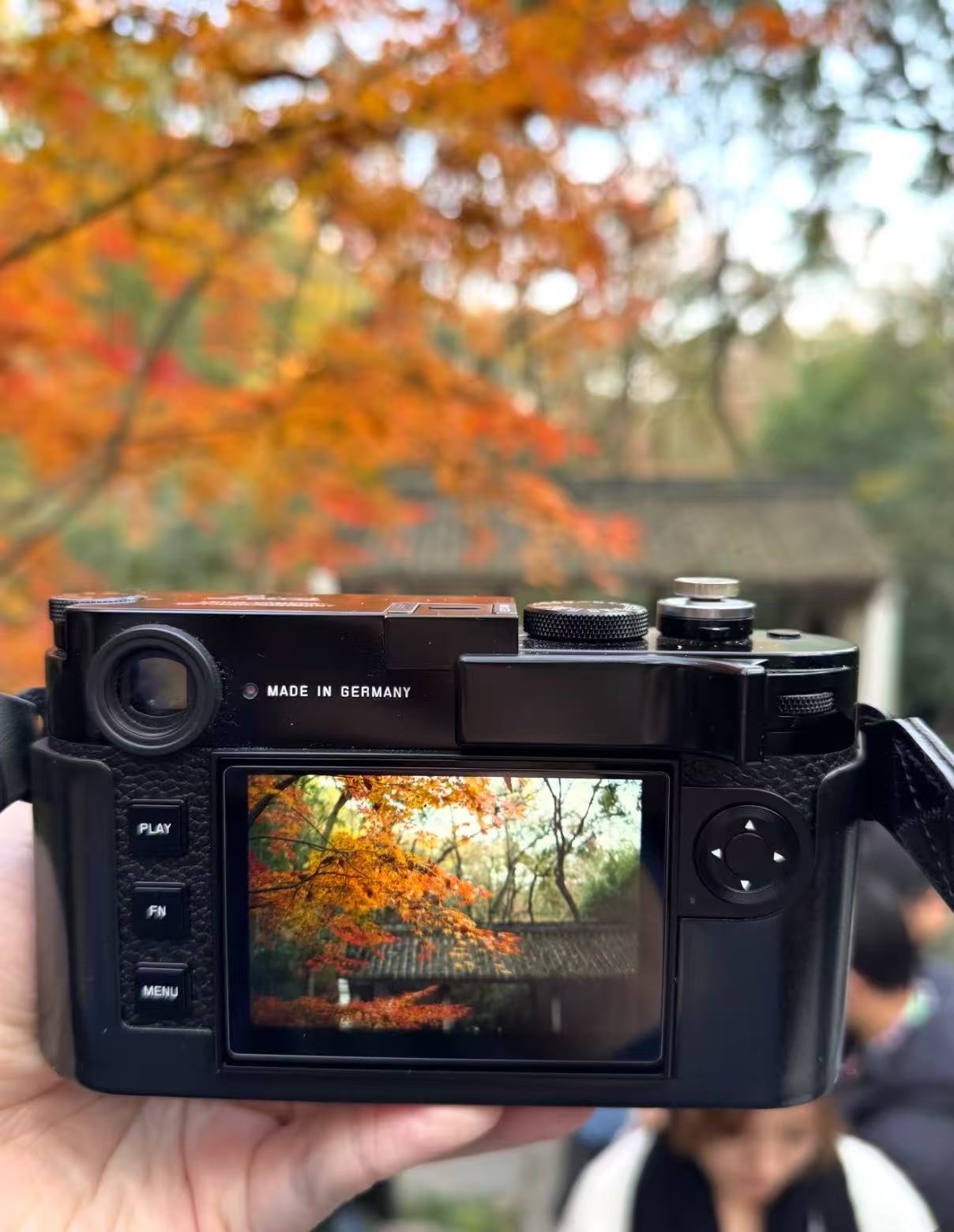 A camera raised towards red autumn leaves